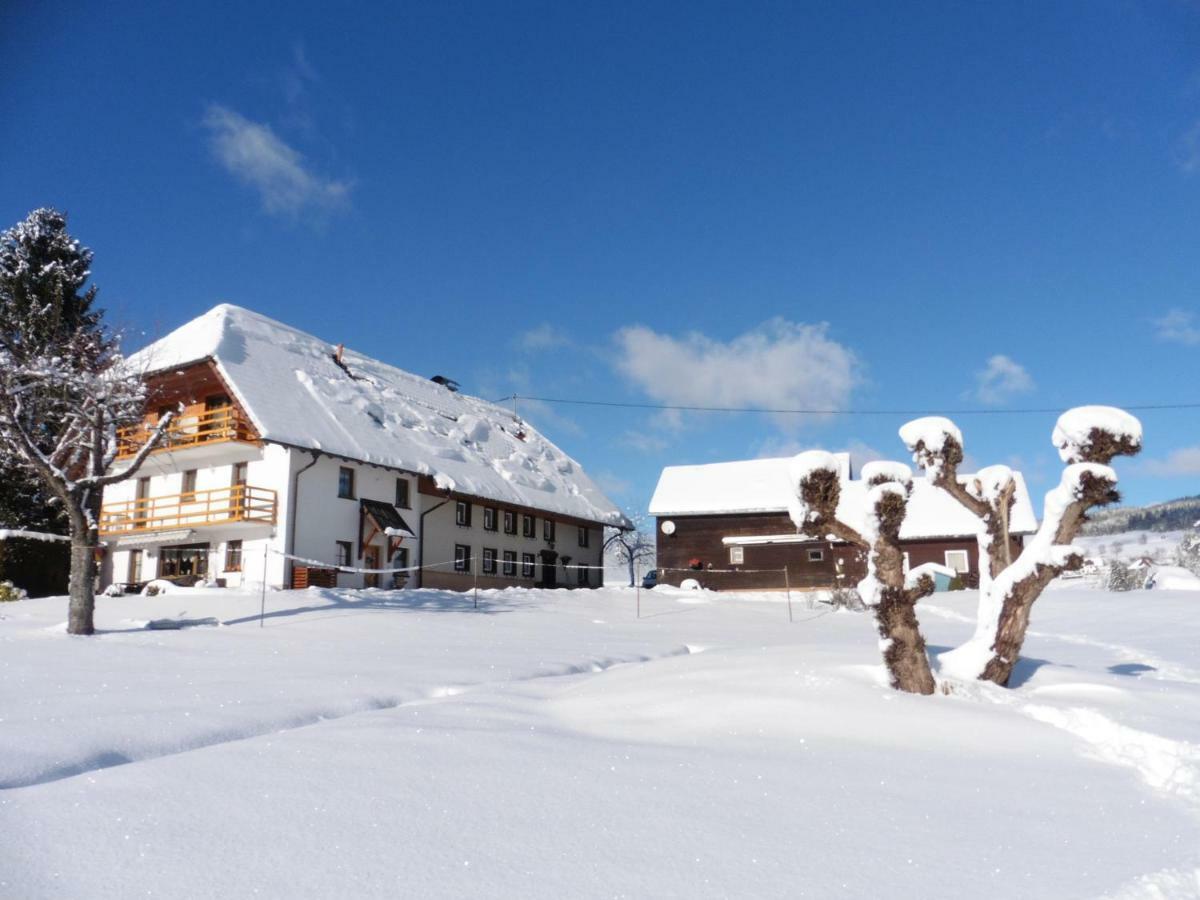 Ferienhaus Ehinger Διαμέρισμα Breitnau Εξωτερικό φωτογραφία