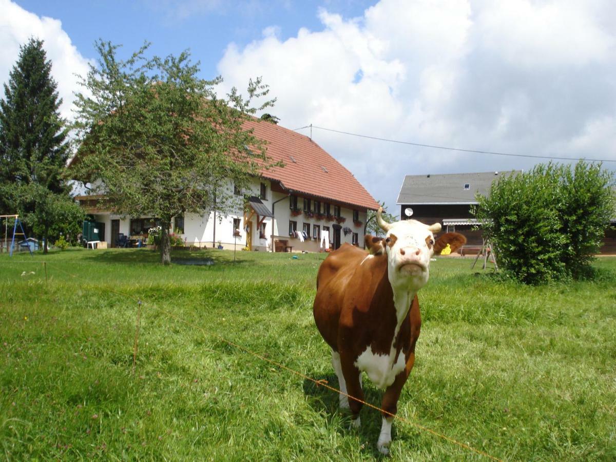 Ferienhaus Ehinger Διαμέρισμα Breitnau Εξωτερικό φωτογραφία