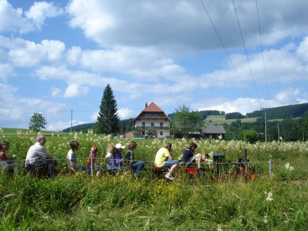Ferienhaus Ehinger Διαμέρισμα Breitnau Εξωτερικό φωτογραφία